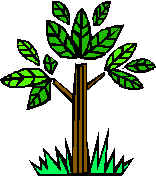 na01441_.wmf (13502 bytes)