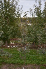 2-V.7 fair-good